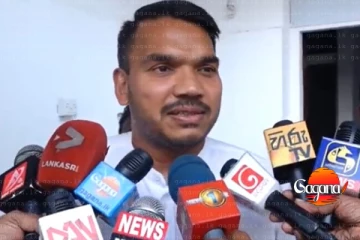 එයා එක්කනෙ වැඩ කළේ ඉතින් බැසිල් රාජපක්ෂට කෝල් එකක් දීලා අහන්න එනවද නැද්ද කියලත් - නාමල් හොඳවයින් කියයි