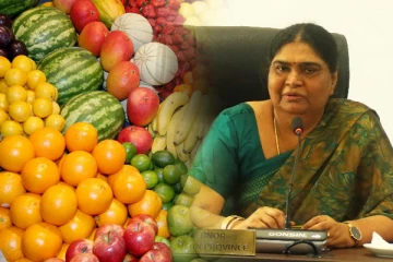 வடக்கிலிருந்து கொழும்பிற்கு சலுகை விலையில் பழங்கள்: வடக்கு ஆளுநர் நடவடிக்கை