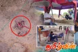 குற்றம் நடந்த இடமே செம்மணி.. சர்ச்சையை தோற்றுவிக்கும் சிறுவர்களின் எலும்புக்கூடுகள்