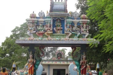 பச்சையம்மன் கோயில்கள்... வரலாறும் பெருமைகளும்..!