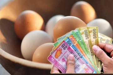 மீண்டும் அதிகரித்த முட்டை விலை