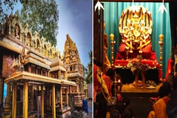 பாம்பு புற்றில் இருந்து உருவான ஸ்ரீ மஹாவிஷ்ணு ஆலயம்- வரலாற்றை தெரிஞ்சிக்கோங்க