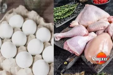 බිත්තර, කුකුළු මස්, ඌරුමස් මිලට වෙන්න යන දේ ගැන දැනුවත් කිරීමක්