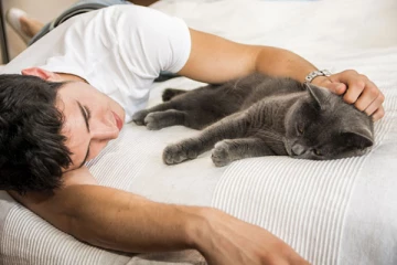 බළලුන් අයිතිකරු සමඟ නිදාගන්නේ ඇයි?