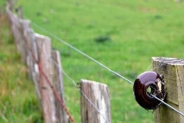 மட்டக்களப்பில் பரிதாபமாக உயிரிழந்த இருவர்! வெளியான அதிர்ச்சி காரணம்