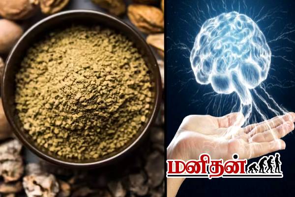 தண்ணீர் கலந்து குடிங்க.. நாள்ப்பட்ட நோய்கள் தடம் தெரியாமல் ஓடிப்போகும்! | Mustard One Substance Drive Diseases Tamils