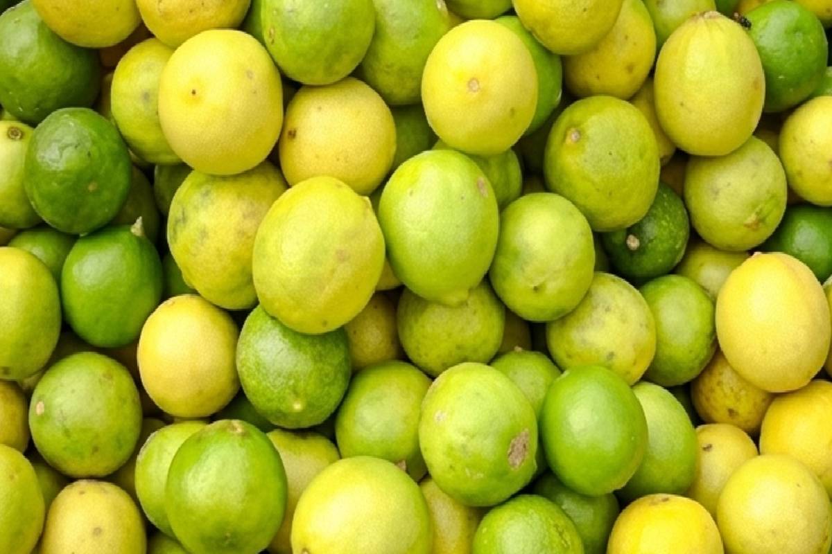 கோடை காலத்தில் ஏறிப்போன எலுமிச்சை விலை - கிலோ எவ்வளவு தெரியுமா? | Lemon Price Increase Current Price Update Details