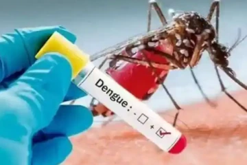 இலங்கையில் அதிகரிக்கும் டெங்கு நோய் : 4 மரணங்கள் பதிவு