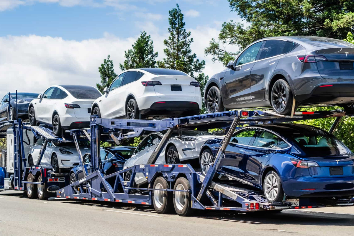 மீண்டும் வாகன இறக்குமதி கட்டுப்படுத்தப்படுகிறதா..! மத்திய வங்கி ஆளுநரின் தகவல் | Vehicle Import In Sri Lanka