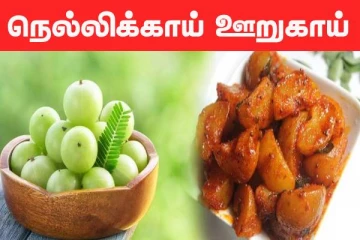 நோயெதிர்ப்பு சக்தியை அதிகரிக்கும் நெல்லிக்காய் ஊறுகாய்... இப்படி ஒரு முறை செய்து பாருங்க