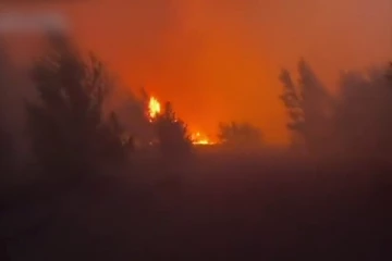 உக்ரைனில் பற்றி எரிந்து வரும் காட்டுத் தீ!