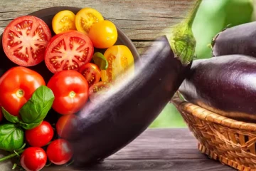 தக்காளி மற்றும் கத்தரிக்காயின் விலை அதிகரிப்பு