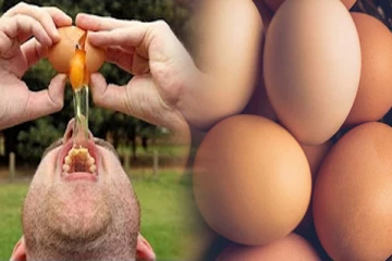 பச்சை முட்டை குடித்தால் என்ன நடக்கும்?