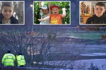 வாத்துகளுக்கு உணவளிக்க சென்ற சிறுவர்கள்... உறைந்த ஏரியில் பரிதாப மரணம்: விசாரணையில் அம்பலம்