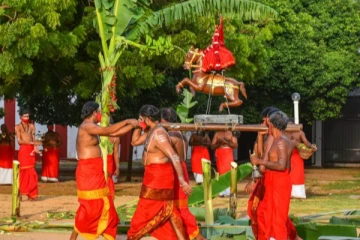 யாழ் நல்லூர்கந்தன் ஆலயத்தில்  இடம்பெற்ற மானம்பூ உற்சவம்