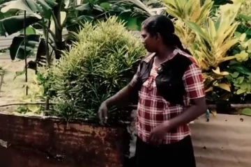 தான் இறந்தால் மற்றவர்களுக்கு சாப்பாடு கிடைக்கும்; கண்கலங்க வைத்த சிறுமியின் விபரீத முடிவு! (Video)
