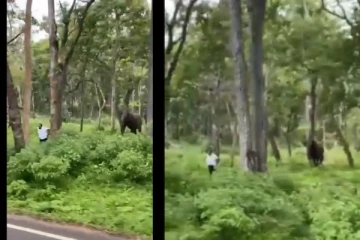 விடாமல் துரத்திய யானை - உயிரை கையில் பிடித்துக்கொண்டு ஓடிய நபர் - அதிர்ச்சி வீடியோ வைரல்!