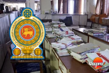 රාජ්‍ය සේවයටත් ඇතුල්වෙන AI - ඒ ගැන දැනගන්න, නැත්නම් අමාරුවේ..