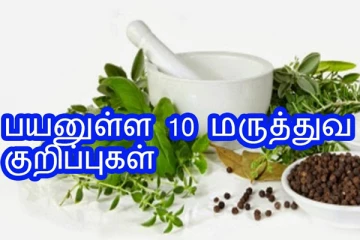 நோயின்றி வாழ ஆசையா? இதோ பயனுள்ள பத்து மருத்துவ குறிப்புகள் உங்களுக்காக !