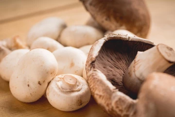 காளானை உணவில் அதிகமாக சேர்த்து கொள்வது நல்லதா?