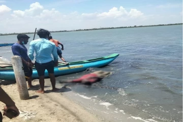 மட்டக்களப்பு வலையிறவு வாவியில் ஆண் ஒருவரின் சடலம் மீட்பு