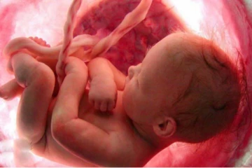 கர்ப்பப்பையில் வளராமல் அடிவயிற்றில் வளர்ந்த குழந்தை: எத்தனை கிலோ எடையில் பிறந்தது தெரியுமா?