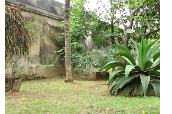 காதலர் தினத்தில் மனதை உருக்கும் ஓர் நிகழ்வு! நினைவற்றவர்களை ரோஜா பூக்களுடன் பார்க்கச் செல்வோர்.... | Valentine S Day