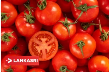 அடிக்கடி தக்காளி சாப்பிட்டால் இது போன்ற பிரச்சினைகள் ஏற்படுமா?