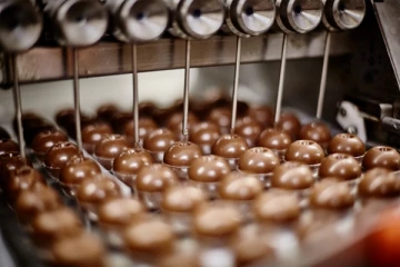 உலகின் மிகப்பெரிய சாக்லேட் தொழிற்சாலையில் பயங்கர கிருமிகள்... தொழிற்சாலை மூடல்