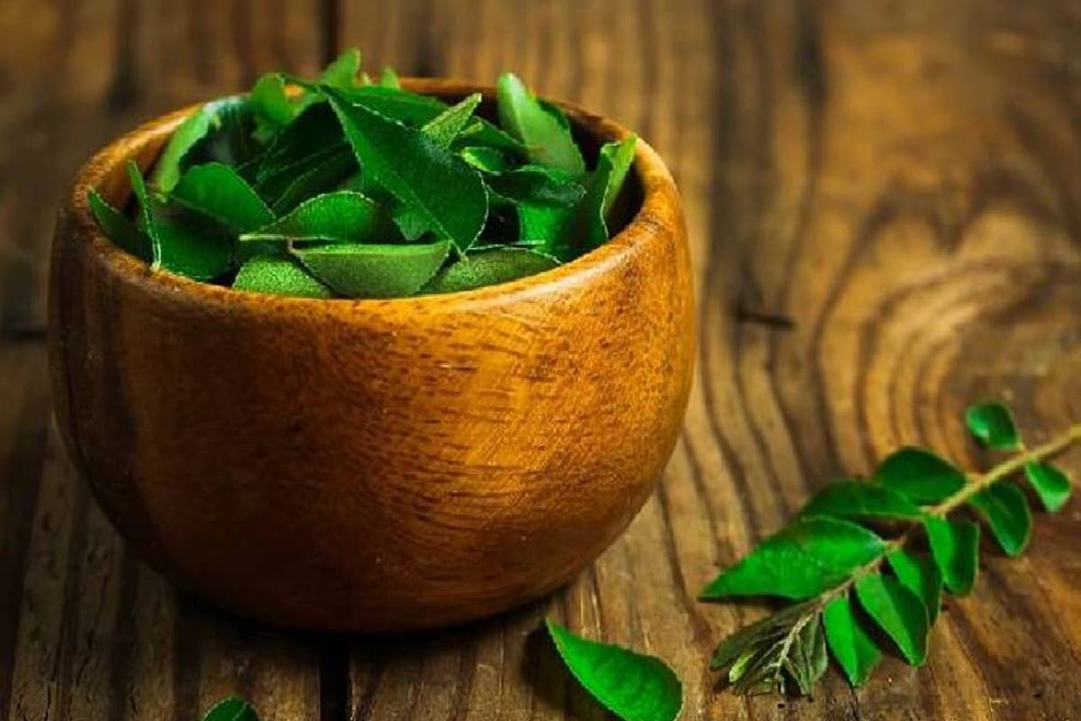 கறிவேப்பிலையில் மறைந்துள்ள நன்மைகள் என்னென்ன தெரியுமா? | Do You Know The Hidden Benefits Of Curry Leaves