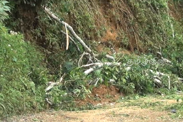 அதிகாரிகளின் அசமந்த போக்கு.. ஊடக செய்திகளுக்கு பின்னர் எடுக்கப்பட்ட நடவடிக்கை | Heavy Rain Landslide Trees Fall In Nuwara Eliya