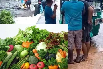 கழிவுகள் நிறைந்த வவுனியா குளத்தில் கழுவி விற்பனை செய்யப்படும் மரக்கறிகள்!