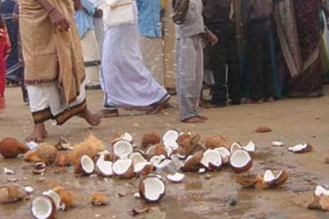 தேங்காய் விலை உயர்வு ; கதிர்காமத்தில் சிதறு தேங்காய் உடைப்பு சடுதியாக குறைவு