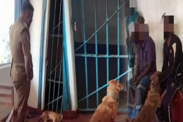 கைது செய்யப்பட்ட உரிமையாளரை தேடி பொலிஸ் நிலையம் சென்ற நாய்