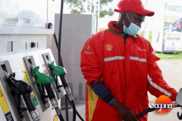 ඉන්ධන පරිභෝජනයේ සියයට 30 ක් අඩු වෙනකොට ෂෙඩ්වලට ලයිසන් කැන්සල් වෙයි