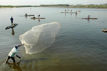 ஒளி பாச்சி சிறிய கண் வலைகளைப் பயன்படுத்தி மீன் பிடிக்க தடை! மீறினால் சட்ட நடவடிக்கை