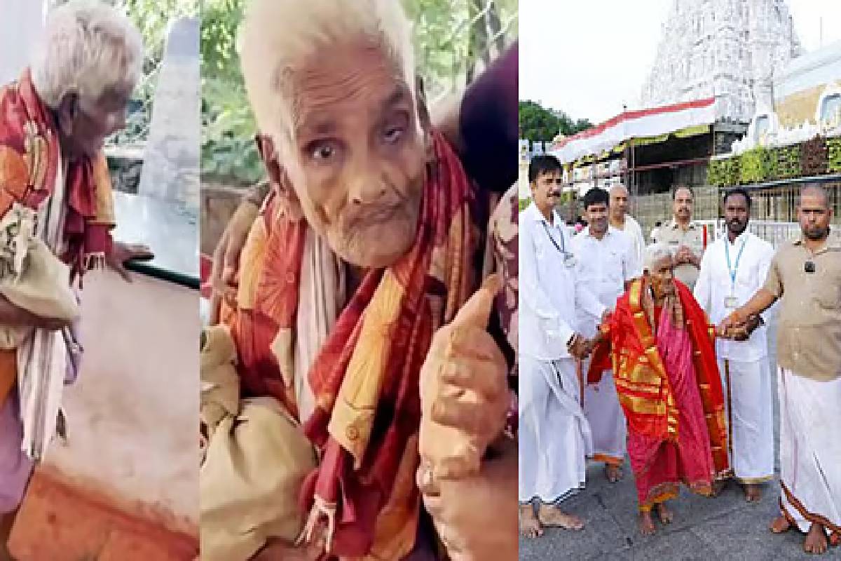 116 வயதிலும் தளராத பக்தி... 3,550 படிகள் ஏறி ஏழுமலையானை தரிசித்த மூதாட்டி! வைரலாகும் வீடியோ | 116 Old Woman Climb 3550 Staps In Tirupati Video 116 வயதிலும் தளராத பக்தி... 3,550 படிகள் ஏறி ஏழுமலையானை தரிசித்த மூதாட்டி! வைரலாகும் வீடியோ | 116 Old Woman Climb 3550 Staps In Tirupati Video