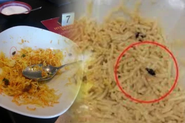 பிரியாணியில் நெளிந்த கரப்பான் பூச்சி - ஷாக்கான வாடிக்கையாளர்