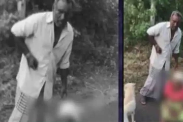 நடுரோட்டில் தாயை தாக்கிய மகன்- காப்பாற்ற முயன்ற நாய்! நெஞ்சை உருக்கும் சம்பவம்