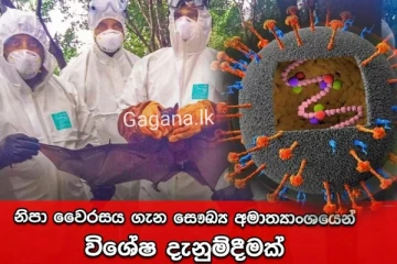 "නිපා වෛරසය" ගැන මෙරට සෞඛ්‍ය අංශයන්ගෙන් දැනුම්දීමක්..