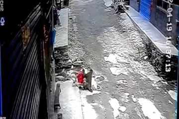 குழந்தையை கடத்த முயன்ற குரங்கு! பரபரப்பை ஏற்படுத்திய காணொளி