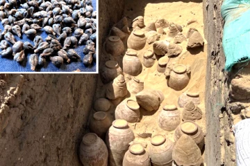 எகிப்தில் 5,000 வருட பழமையான மதுபான குடுவைகள் கண்டுபிடிப்பு