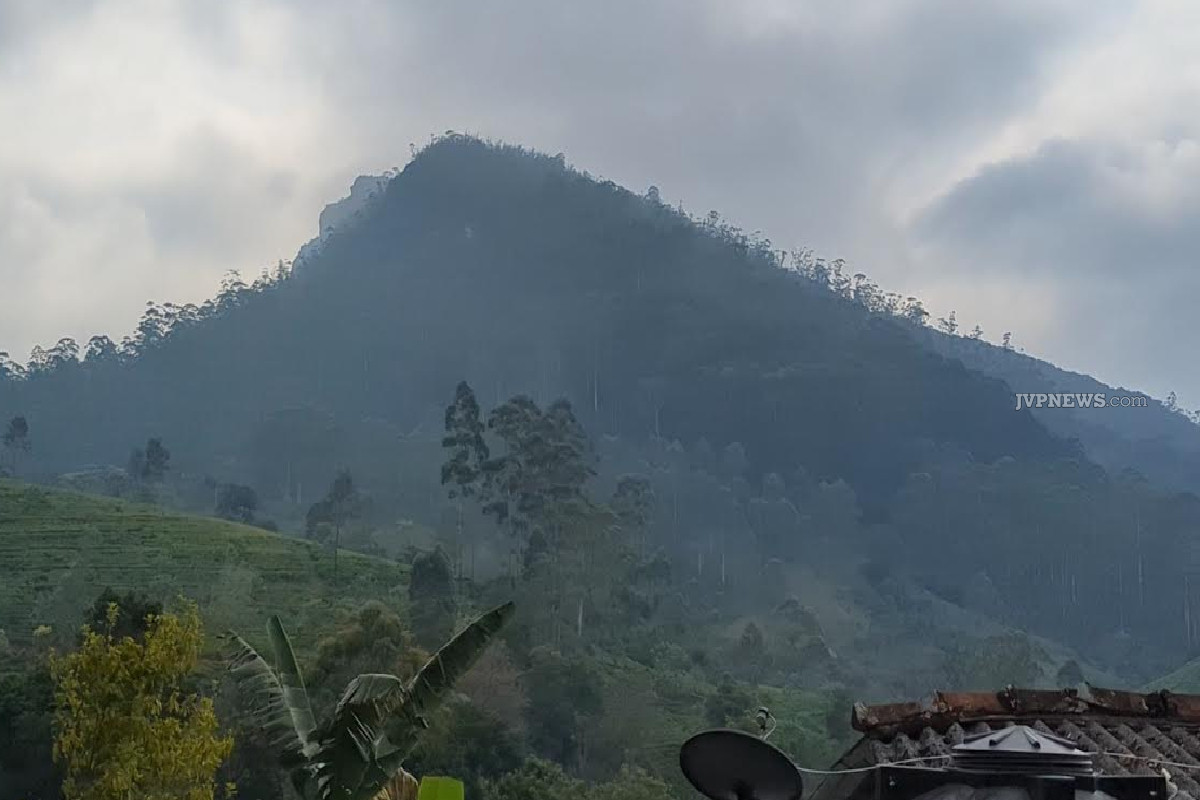 சிங்கமலை வனப்பகுதியில் சிக்கித்தவித்த வெளிநாட்டு மாணவி பத்திரமாக மீட்பு | Foreign Student Rescued Singamalai Forest Area சிங்கமலை வனப்பகுதியில் சிக்கித்தவித்த வெளிநாட்டு மாணவி பத்திரமாக மீட்பு | Foreign Student Rescued Singamalai Forest Area