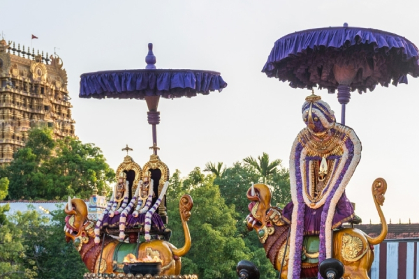 நல்லூர் கந்தசுவாமி ஆலய மகோற்சவ எட்டாம் திருவிழா | Festival Of The Nallur Kandaswamy Temple