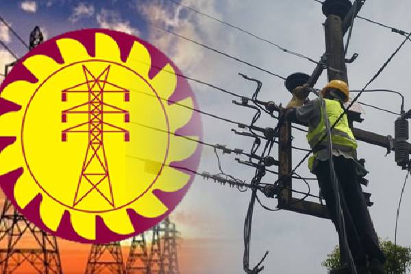 1,100 மின்சார சபை ஊழியர்களை வீட்டுக்கு அனுப்பும் அரசாங்கம்! | 1 100 Electricity Board Employees Home