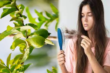 முடி கொட்டுதா? அப்ப இத ட்ரை பண்ணுங்க