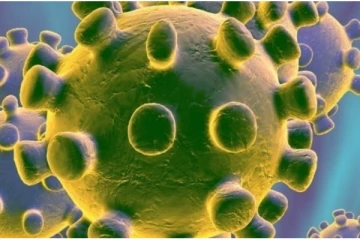 பாரிய ஆபத்தில் பதுளை - கட்டுப்படுத்த முடியாத அளவு கோவிட்19 வைரஸ் பரவல்