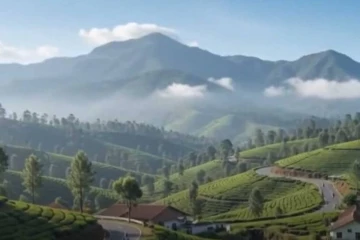 ලංකාවේ තේ කර්මාන්තය උඩුයටිකුරු කරන දැවැන්ත ව්‍යාපෘතියක් - තේ ගම්මාන 500ක් රට වටේම හැදෙයි!