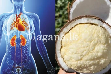 මාරාන්තික රෝග පවා සුව කළ හැකි ආහාරයක් ගැන මීට කලින් අහලා තියෙනවද?