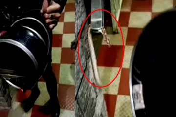 ஹெல்மட்டில் இருந்து படம் எடுத்தப்படி தலையை வெளியே நீட்டும் பாம்பு! இணையவாசிகளை மிரள வைத்த காட்சி